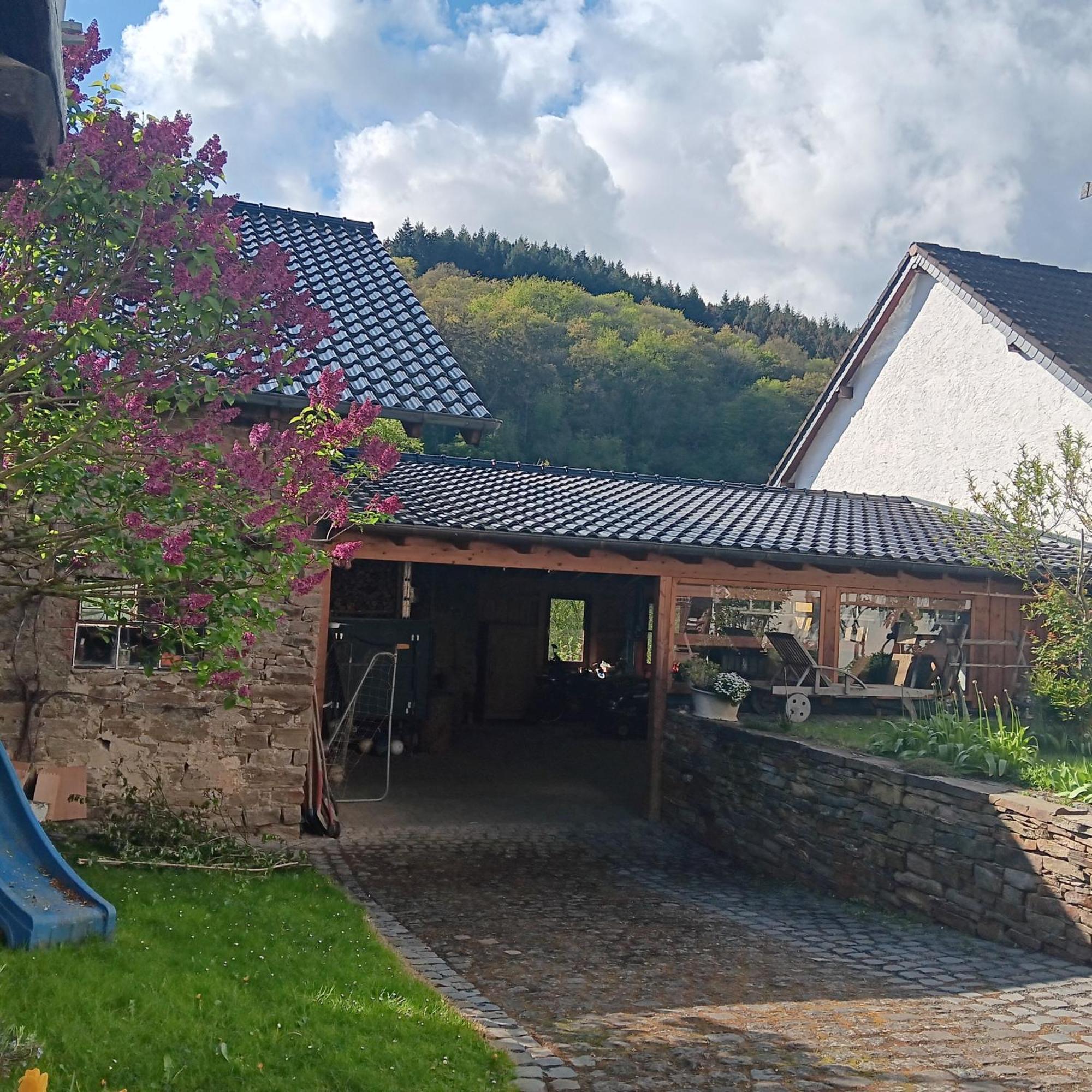 Villa Eifler Brunnenhaus Dumpelfeld Esterno foto